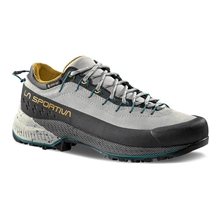 TX4 EVO GTX　 WOMAN